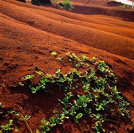 Xbox老大：我个人的年度游戏是《脑航员2》